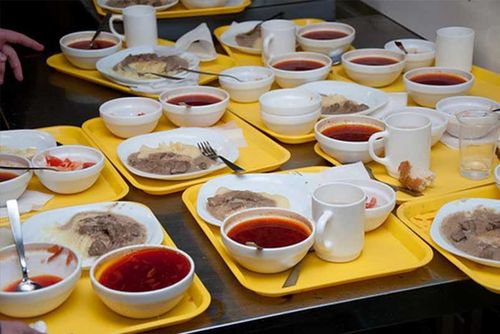 ОНФ предложил проверять школьное питание в лаборатории