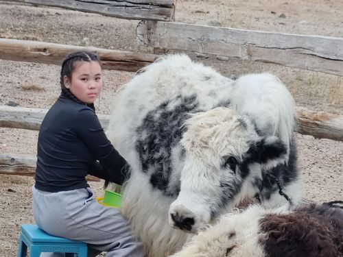 Школа юного яковода. Победители конкурса от Общества «Знание» укрепляют будущее аграрной отрасли Тувы