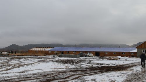 Молочно-товарная ферма по индивидуальной программе