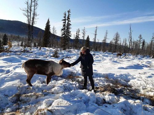 Как живут оленеводы? «Утварь для оленеводческой семьи»