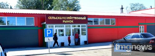 Дина Оюн: «Цены сельхозрынка нужно контролировать и не допускать повышения»