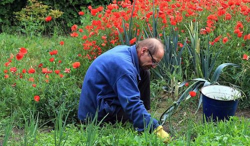 За мак и коноплю в огороде граждан Тувы могут оштрафовать