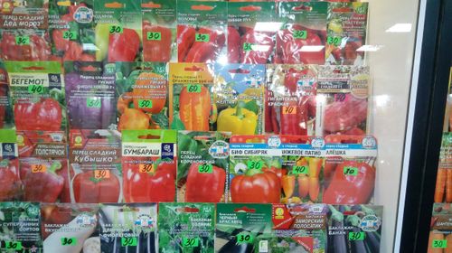 В Кызыле выявили более 100 сортов семян, не разрешённых к продаже в России