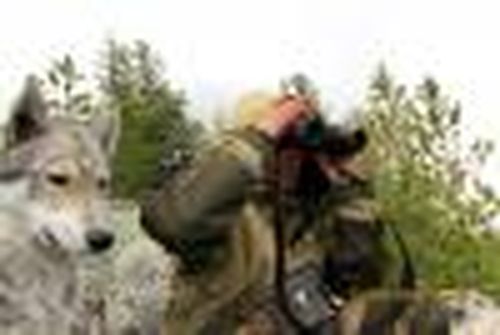 В фотообъективе — природа