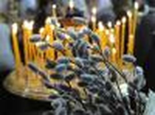 Даруй мне, верба, здоровье, удачу и благополучие