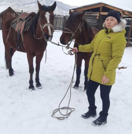 Скот в селе Уюк под надежным присмотром