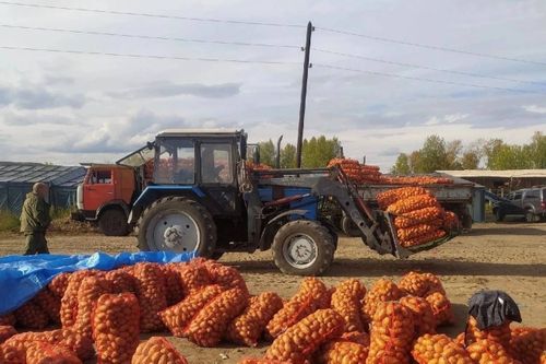 Кижизидилге ажылынга база салдарлыг