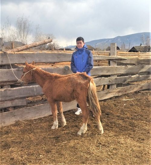 Чону-биле кежиин үлешкен