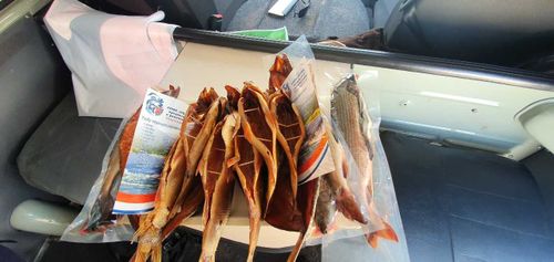 Рыба есть, а с квотой проблема. Как работает Тоджинский СПОК «Ноян»