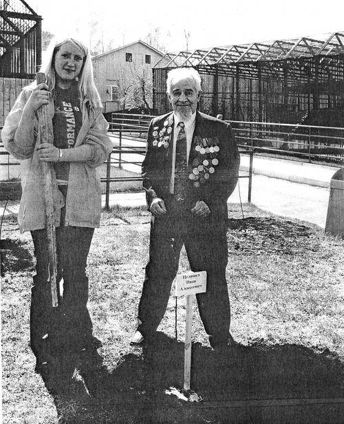 Жизнь, как метеорит