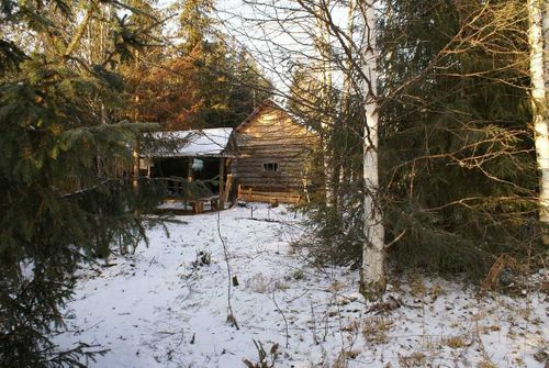 Поисковая группа нашла ребенка, пропавшего в тайге