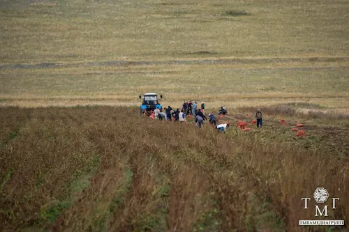 В Тандинском районе идет сбор урожая картофеля, который будет роздан семьям бойцов СВО