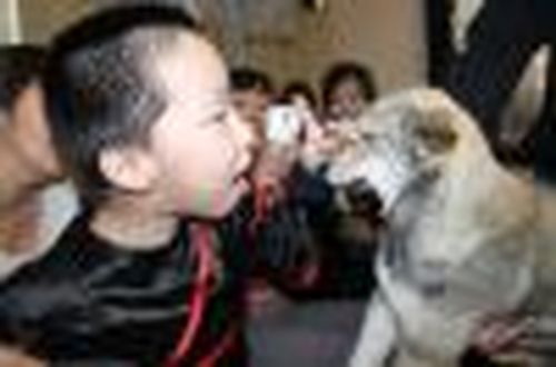 Прикосновение к волшебству