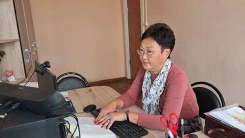 Обучение участников программы «Герои Тувы»: вебинары и новые горизонты