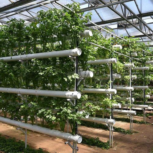 Теплица на гидропонике 2022. В Туве начнут выращивать овощи круглый год