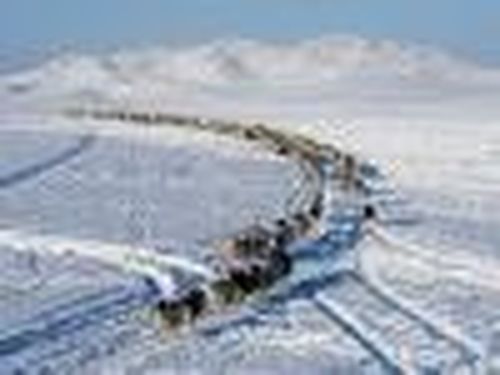 Будни зоны ЧС