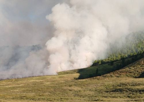 В Туве действует 33 лесных пожара на общей площади 21824,50 га