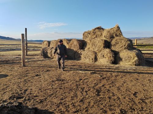 Служба ГО и ЧС напоминает о важности соблюдения правил пожарной безопасности при заготовке сена