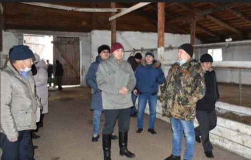 Как поживают фермеры Пий-Хема?