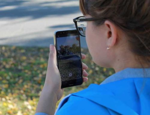 Жителей Тувы приглашают стать эковолонтерами и фиксировать нарушения на видео и фото