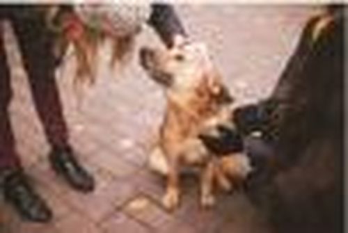 В поисках системного подхода