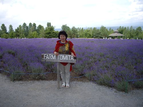 Японский дневник: часть первая