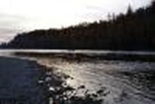 На защите природы и населения