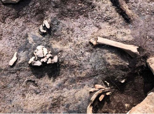 Кого приносили в жертву на кургане Туннуг?