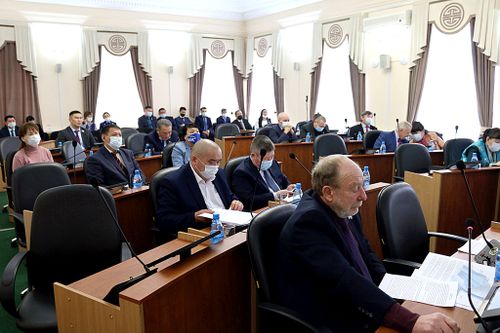 Ирина Бадыргы освобождена от должности вице-спикера парламента