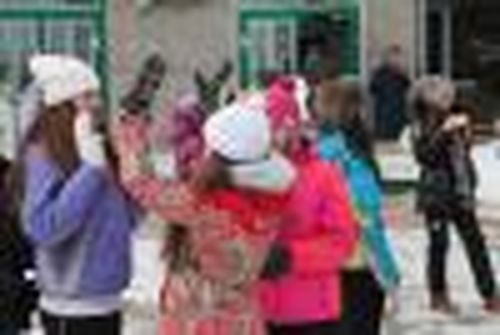 "Картина жизни"